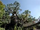 tarzan treehouse cheap disneyland vacation