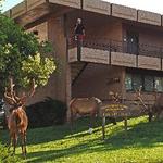 thunder bird lodge grand canyon disney adventure