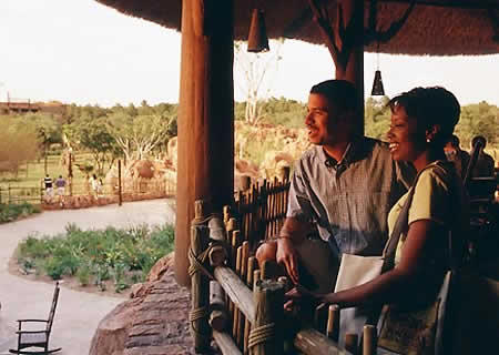 animal kingdom hotel